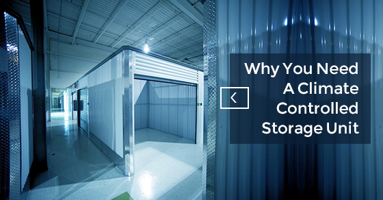 Why Do You Need A Climate Controlled Storage Unit? | UltraStor