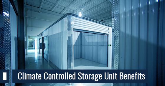 Climate Controlled Storage Unit Benefits