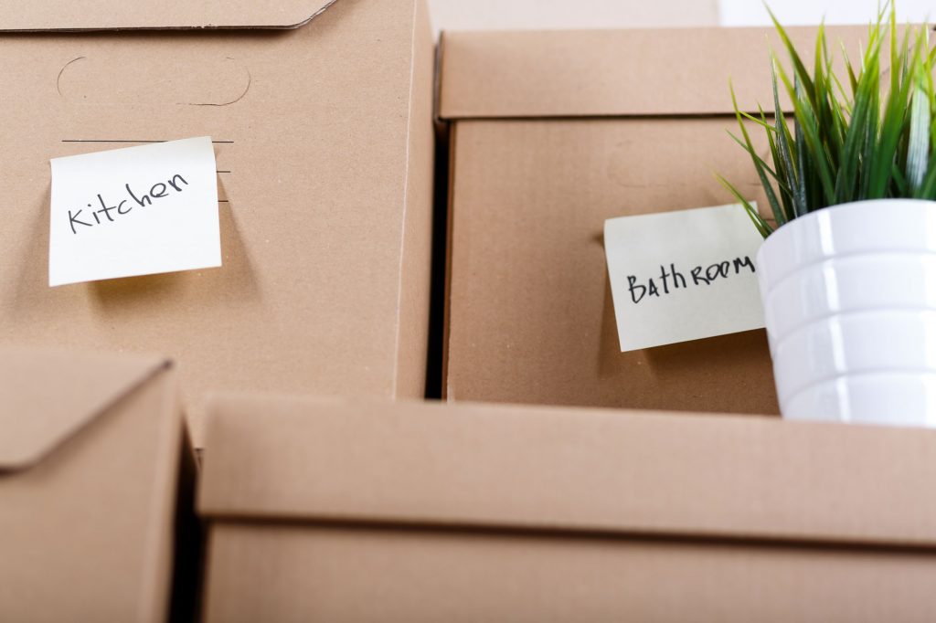 Labeled moving boxes with an artificial plant placed on top in an UltraStor unit.